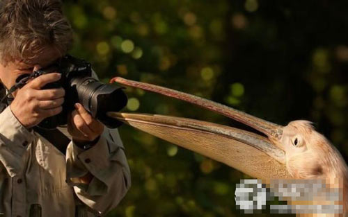 ����Ц�������Ķ���ͼ ��ЦͼƬ