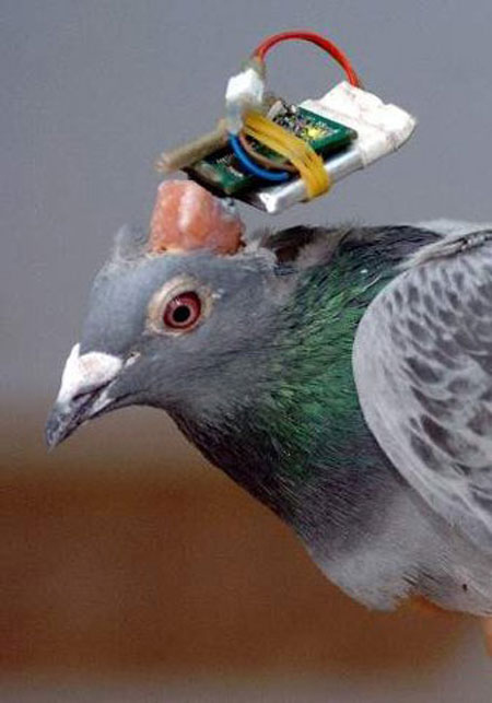 ���أ��Ҳ��̶õĶ���ʵ�����Ƭ��ͼ��