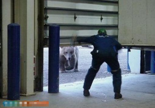 ץ�ľ��Ķ��ǵĶ��˲��(��ͼ)