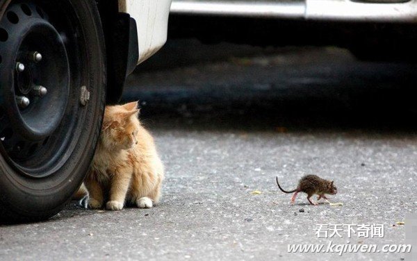 �����İ��ĳ��ͳ��� ǿ����������ͼ�̵�(��ͼ)