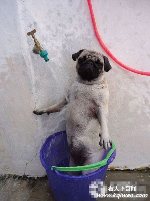 �̲�סЦ���Ŀ�ͼ