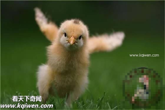 ��Ϊ���ޣ��ҵ�ѹ��Ҳ�ܴ�