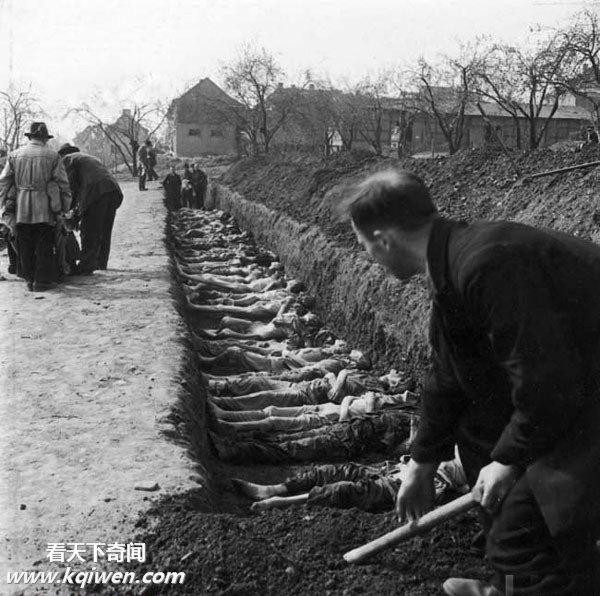 �����ɴ⼯��Ӫ��״��������ź�����ʬ��(��ͼ)